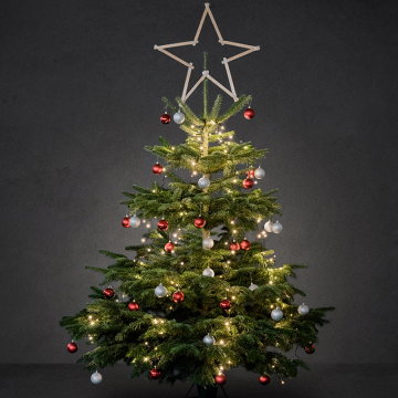 ÆDELGRAN / JULETRÆ