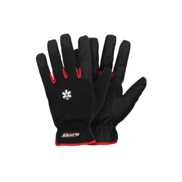 Vinterhandske Gloves Pro Red 10