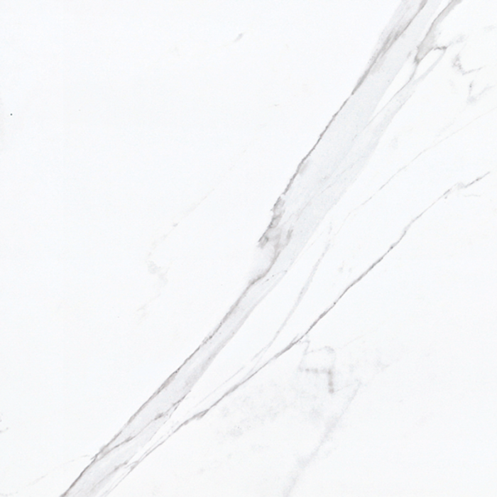 Flise Goya Polished 60x60