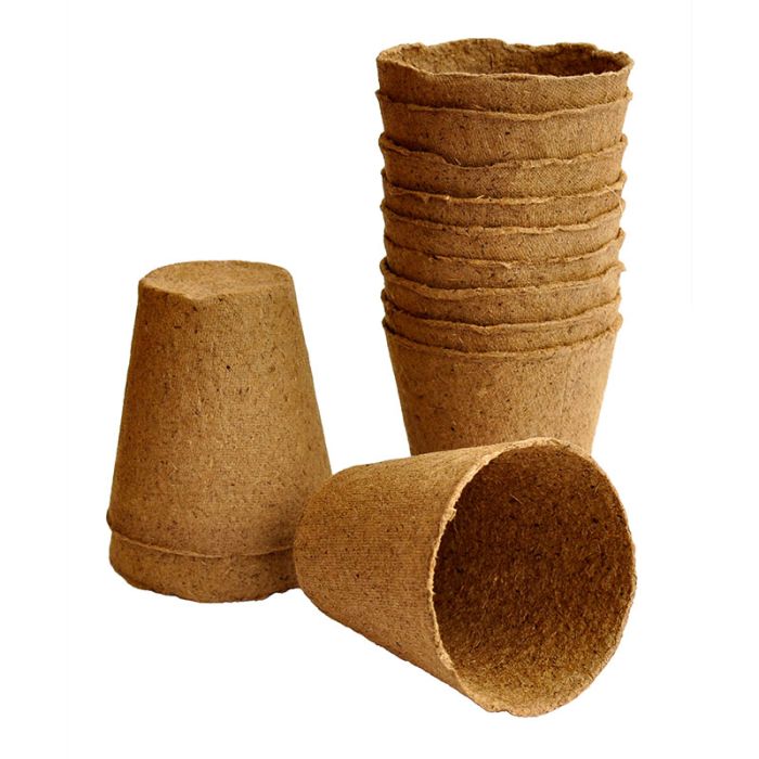 Biopotte 8 cm Weibulls