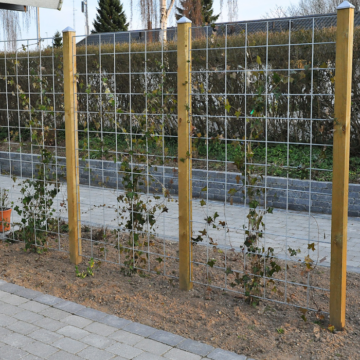 Espalier Rionet med beslag HORTUS