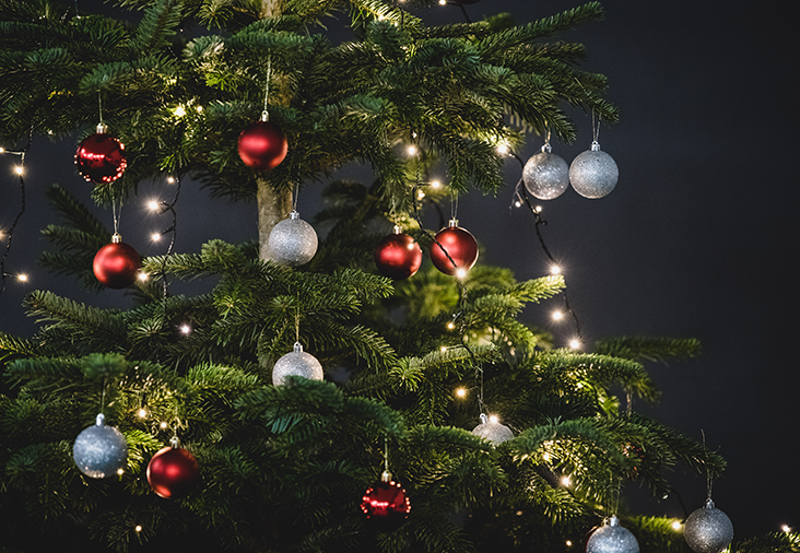Få juletræet til at holde sig | Byggmax