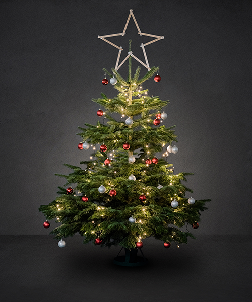 Tips til juletræet | Byggmax